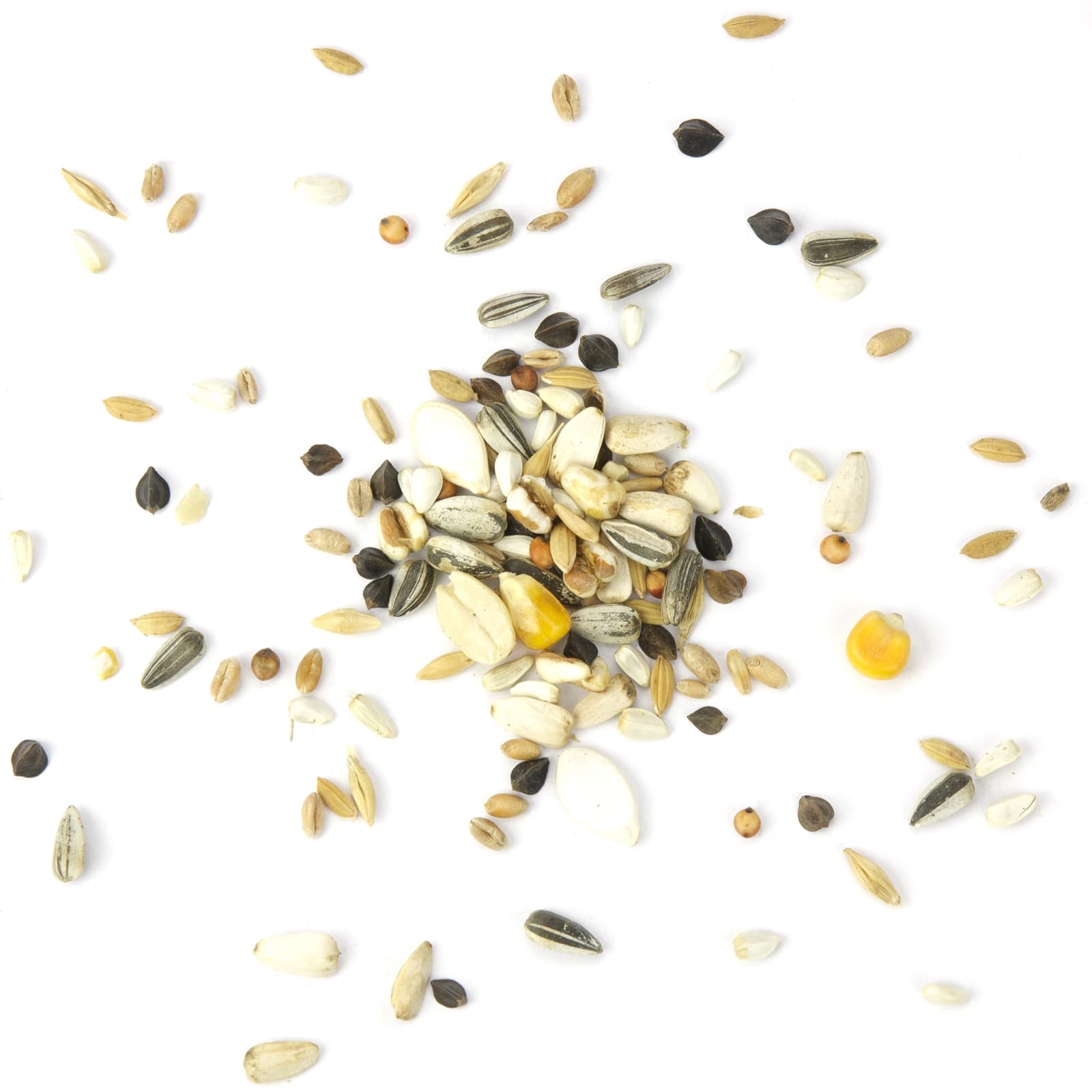 Papageienfutter Papagei-Basic