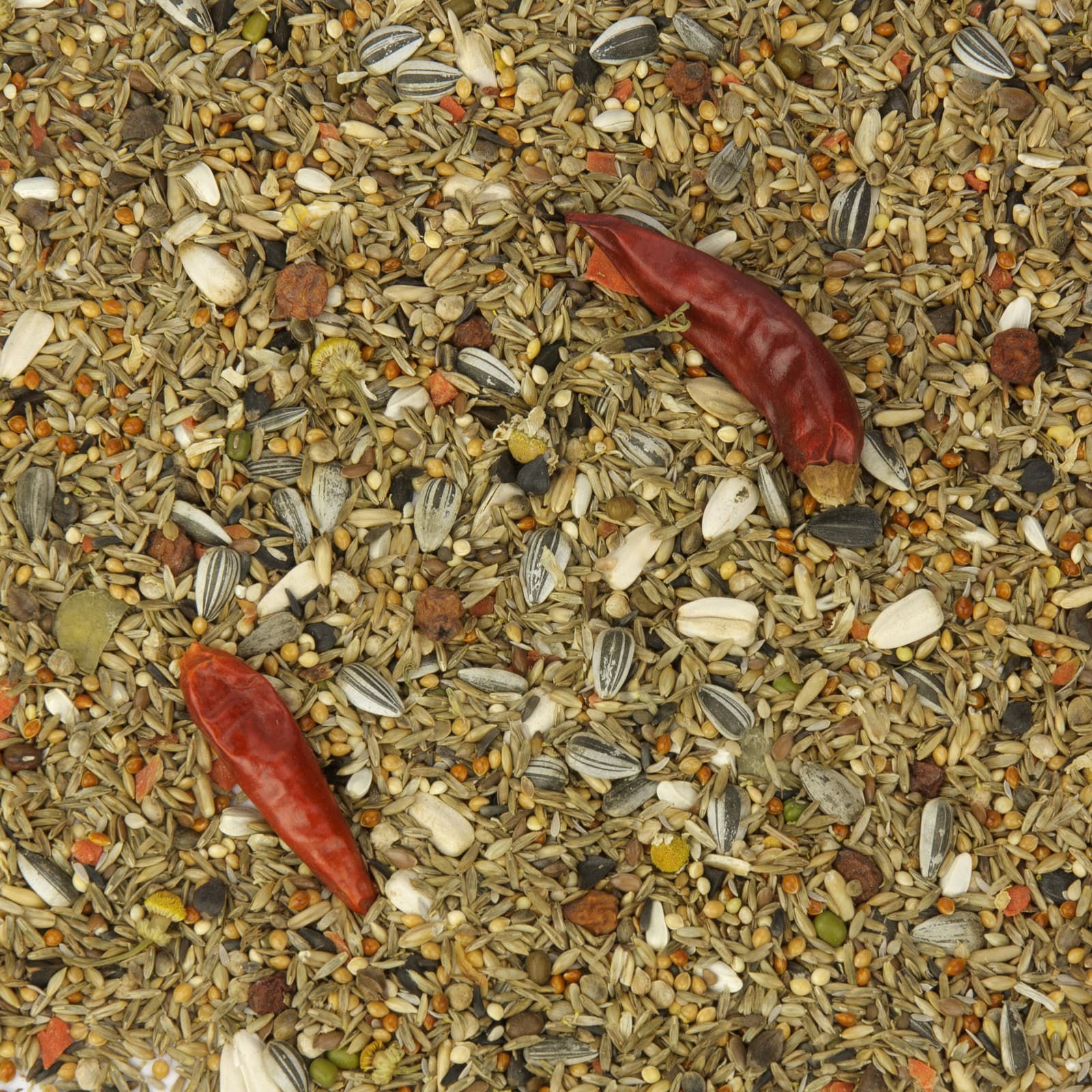 Grosssittichfutter Grosssittich-Topfit