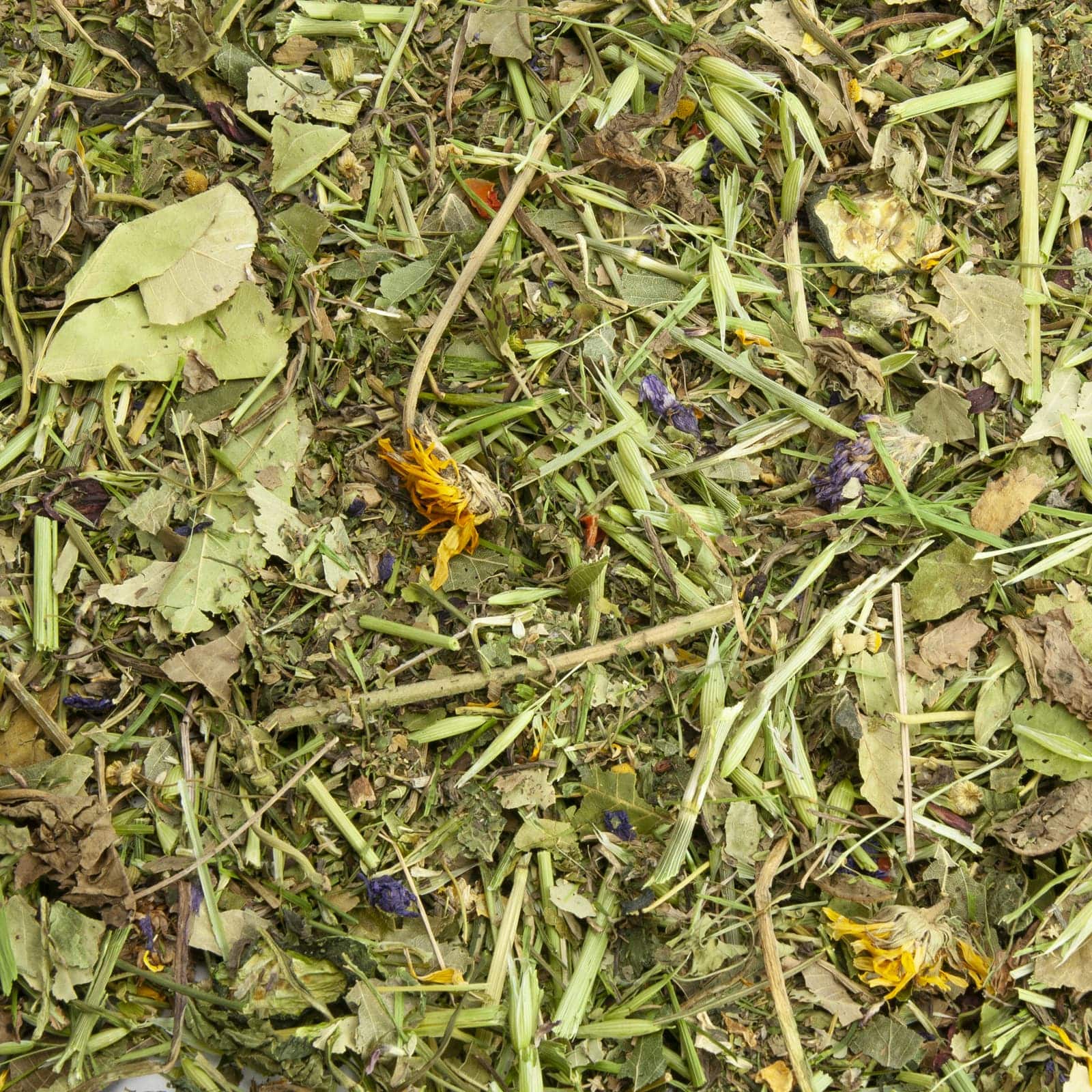 Strukturfutter für Chinchillas Nahaufnahme