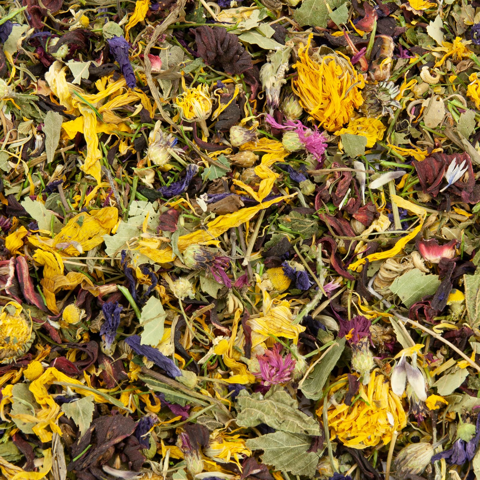 Kaninchenfutter Blueten Blaetter Kraeuter