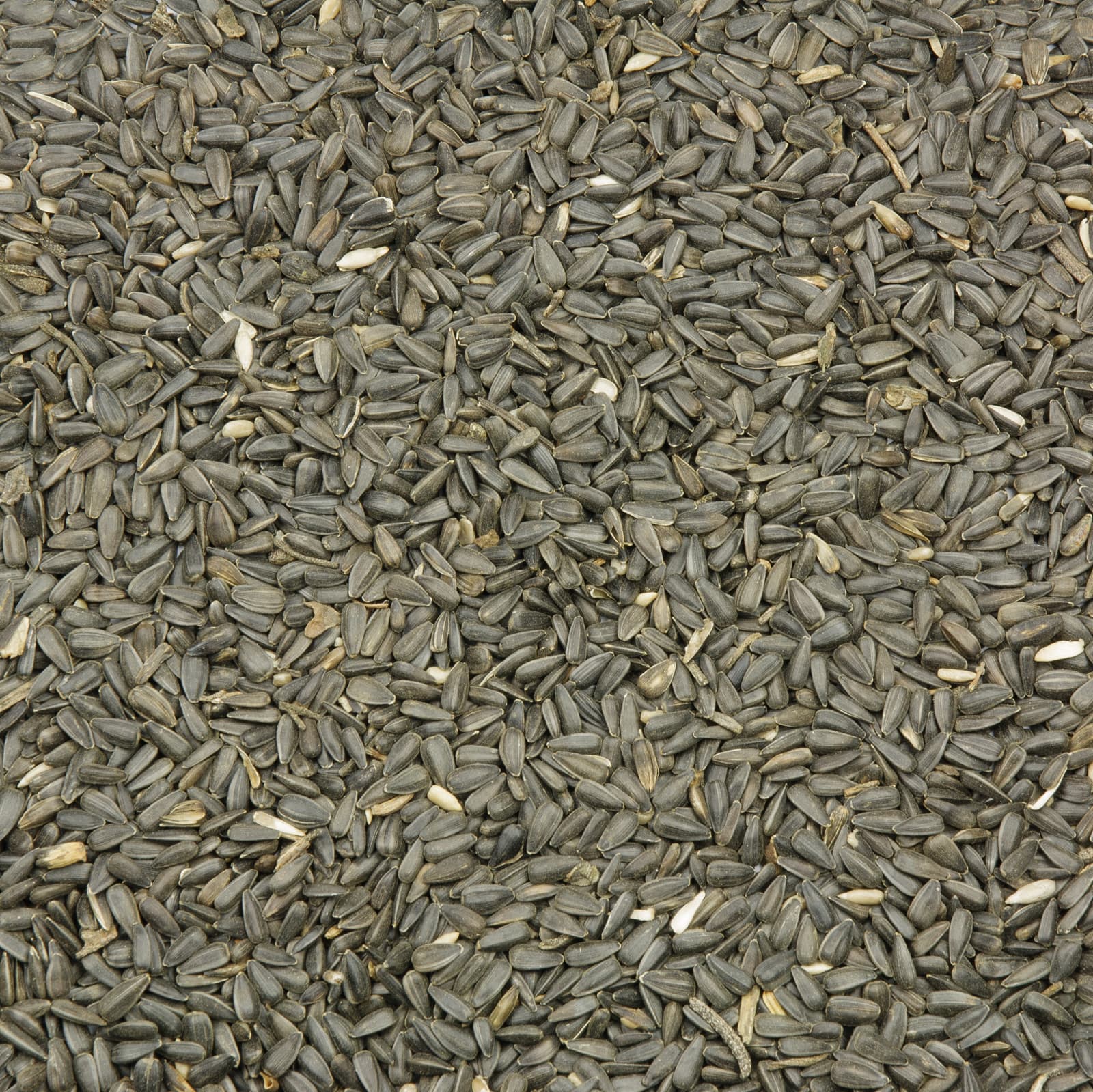 Vogelfutter Sonnenblumenkerne schwarz fuer Voegel Uebersicht