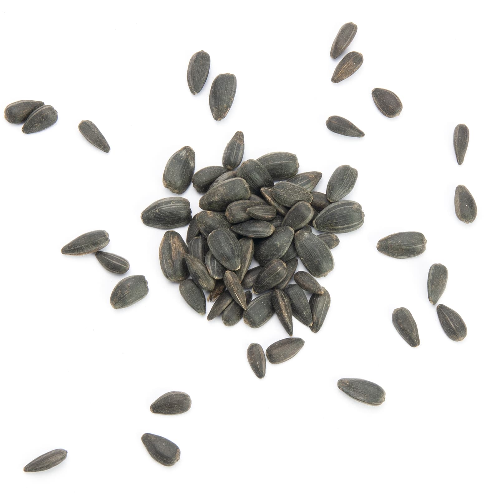 Vogelfutter Sonnenblumenkerne schwarz fuer Voegel