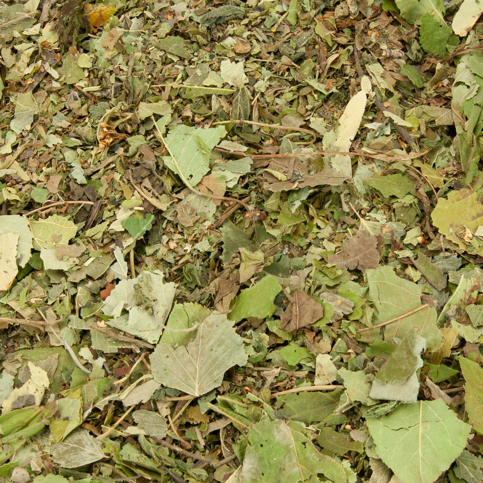 Kaninchenfutter Blaetterwald Blaetter-Mischung für Nager