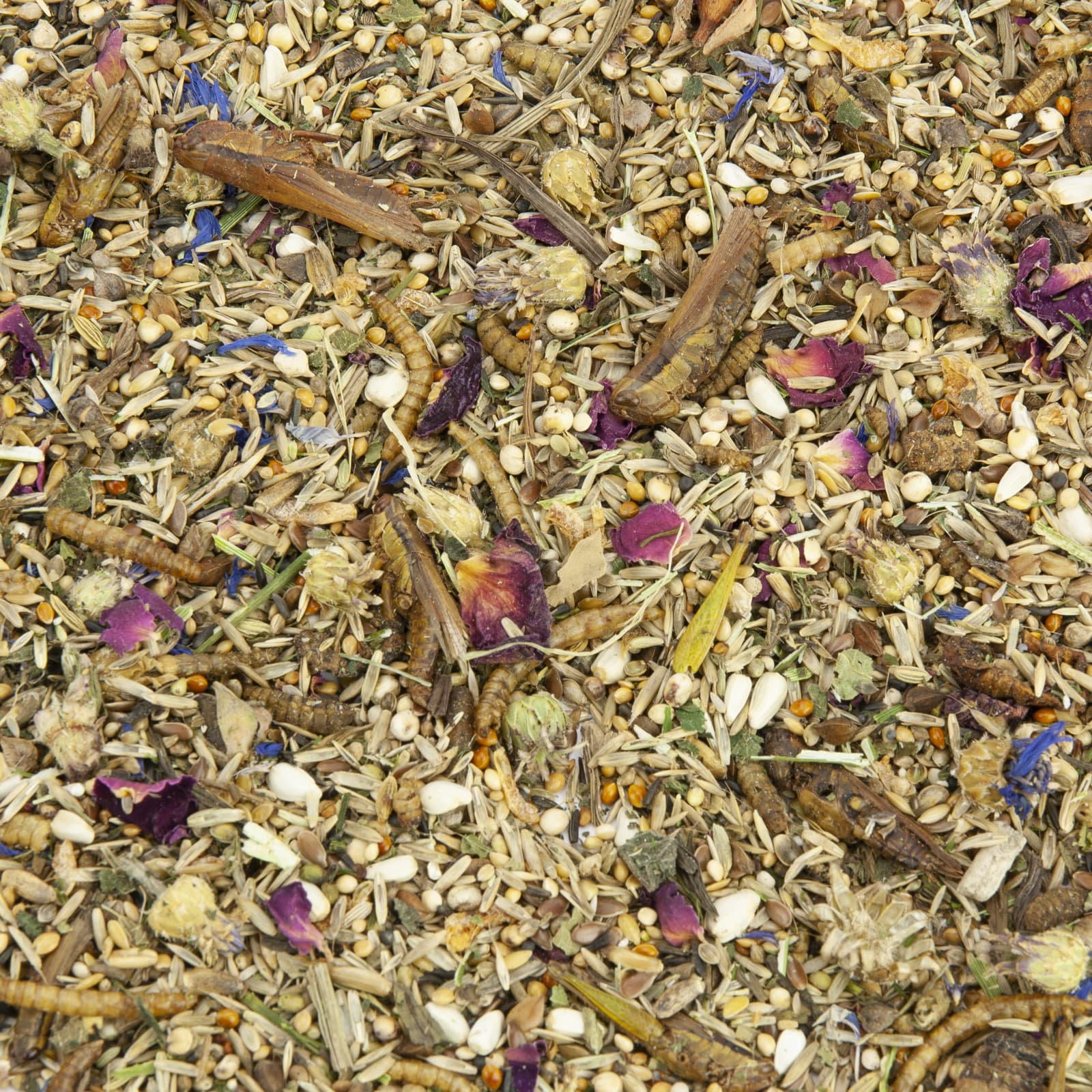 Zwerghamsterfutter Kleiner Körnerschatz Detailansicht