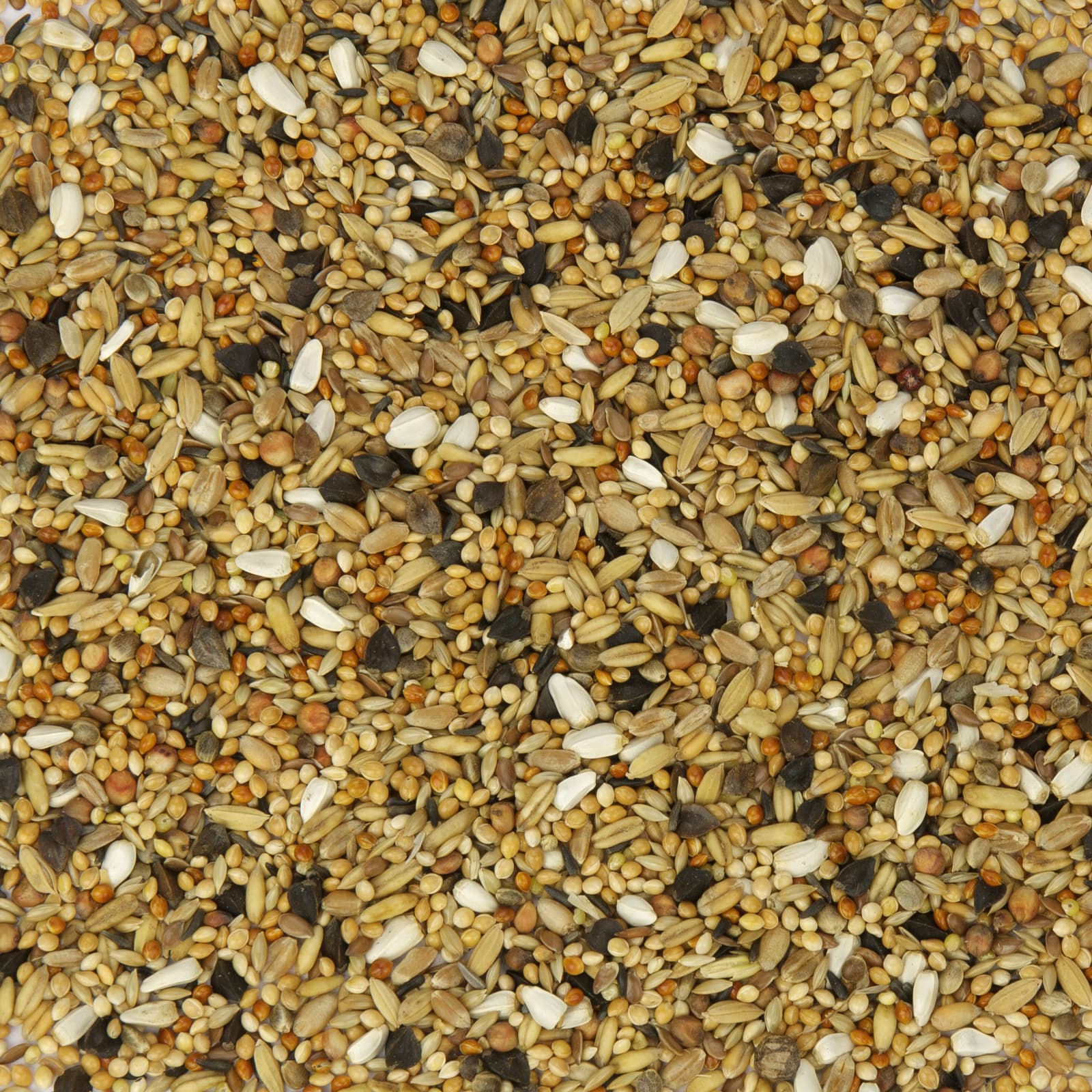 Grosssittichfutter Grosssittich fein Basic Uebersicht