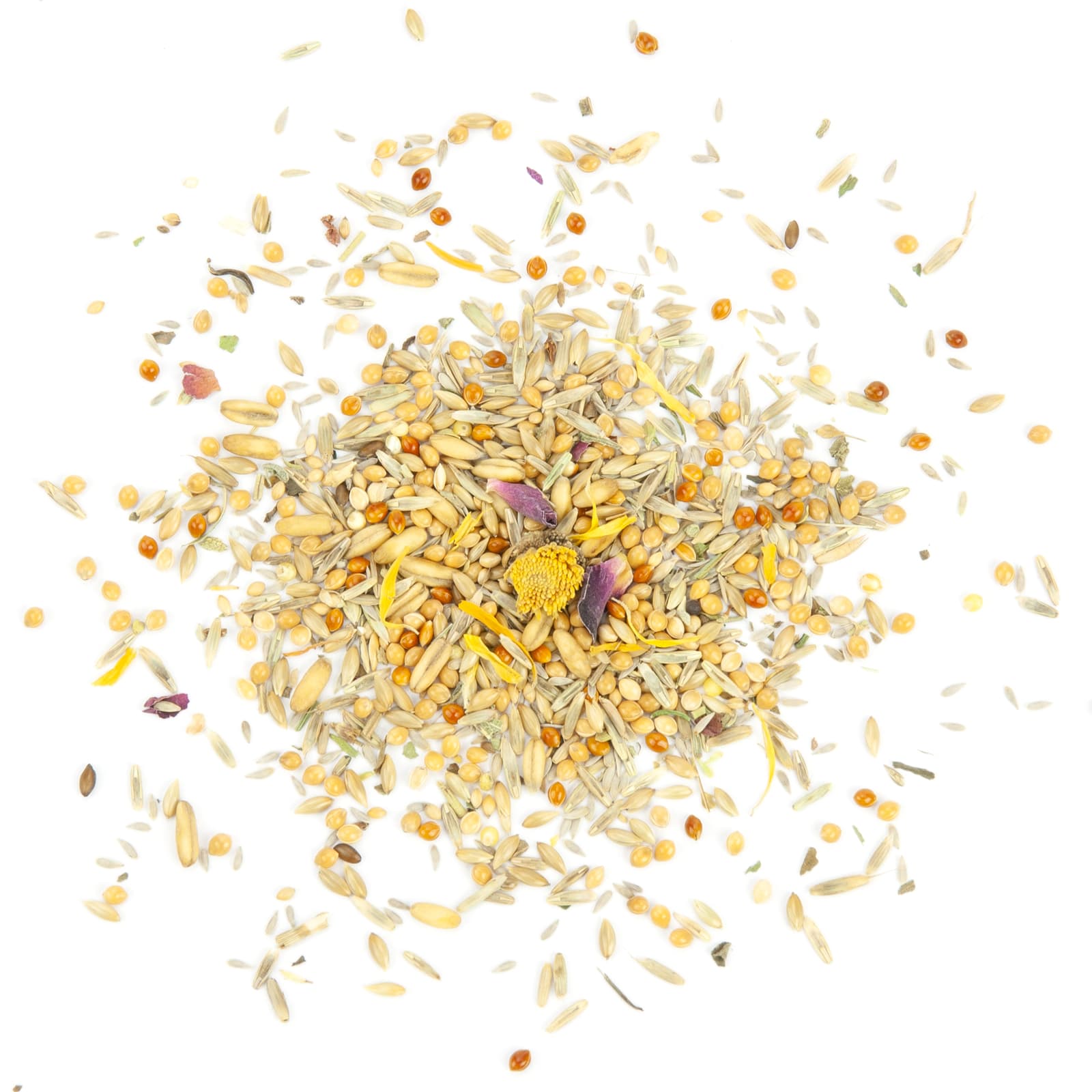 Wellensittichfutter Welli-Topfit