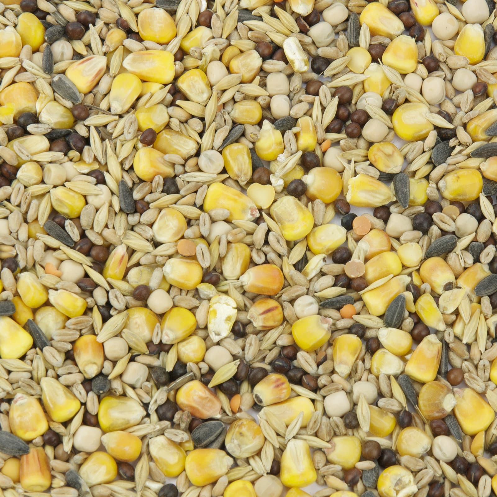 Taubenfutter Taubenfutter Universal