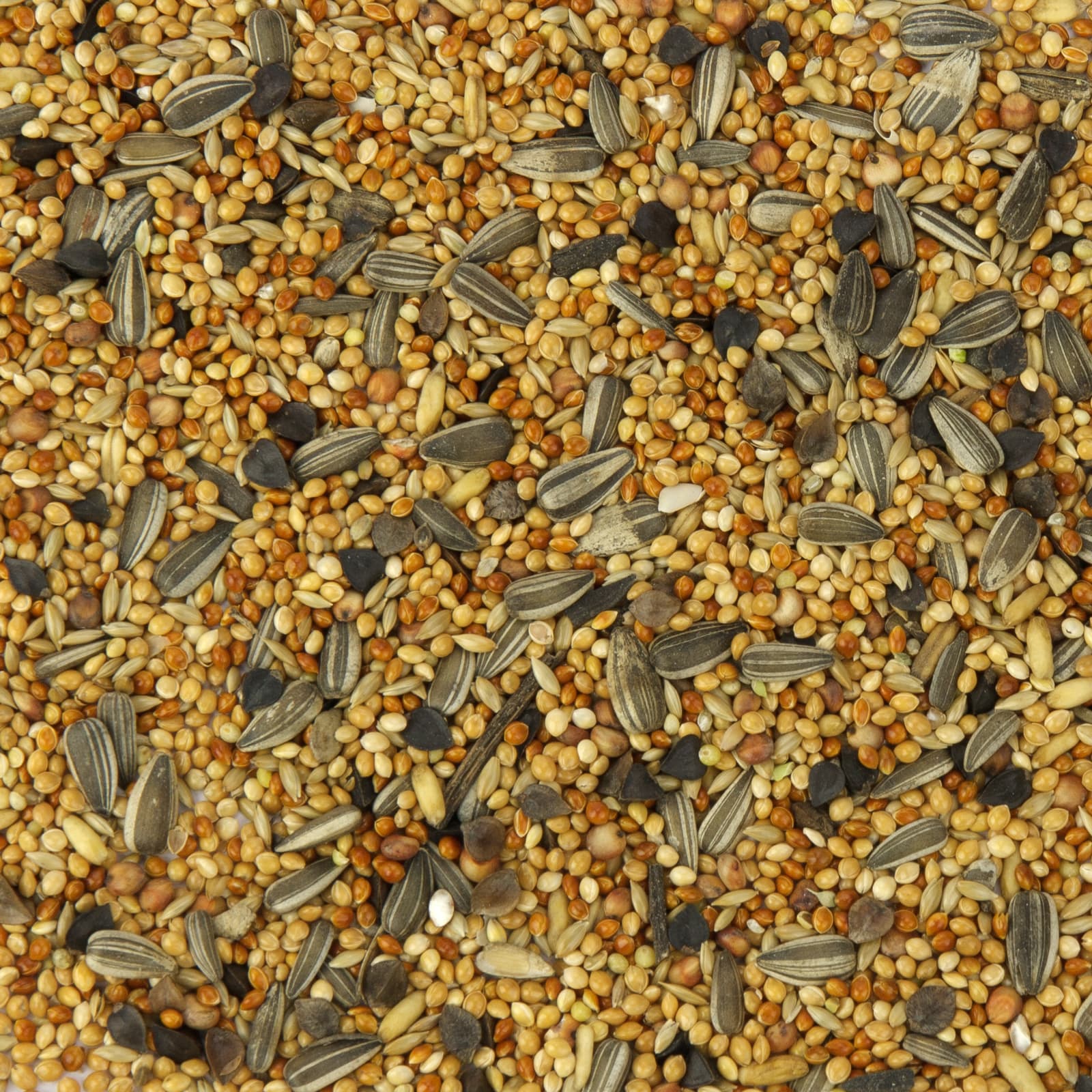 Grosssittichfutter Grosssittich Basic Uebersicht