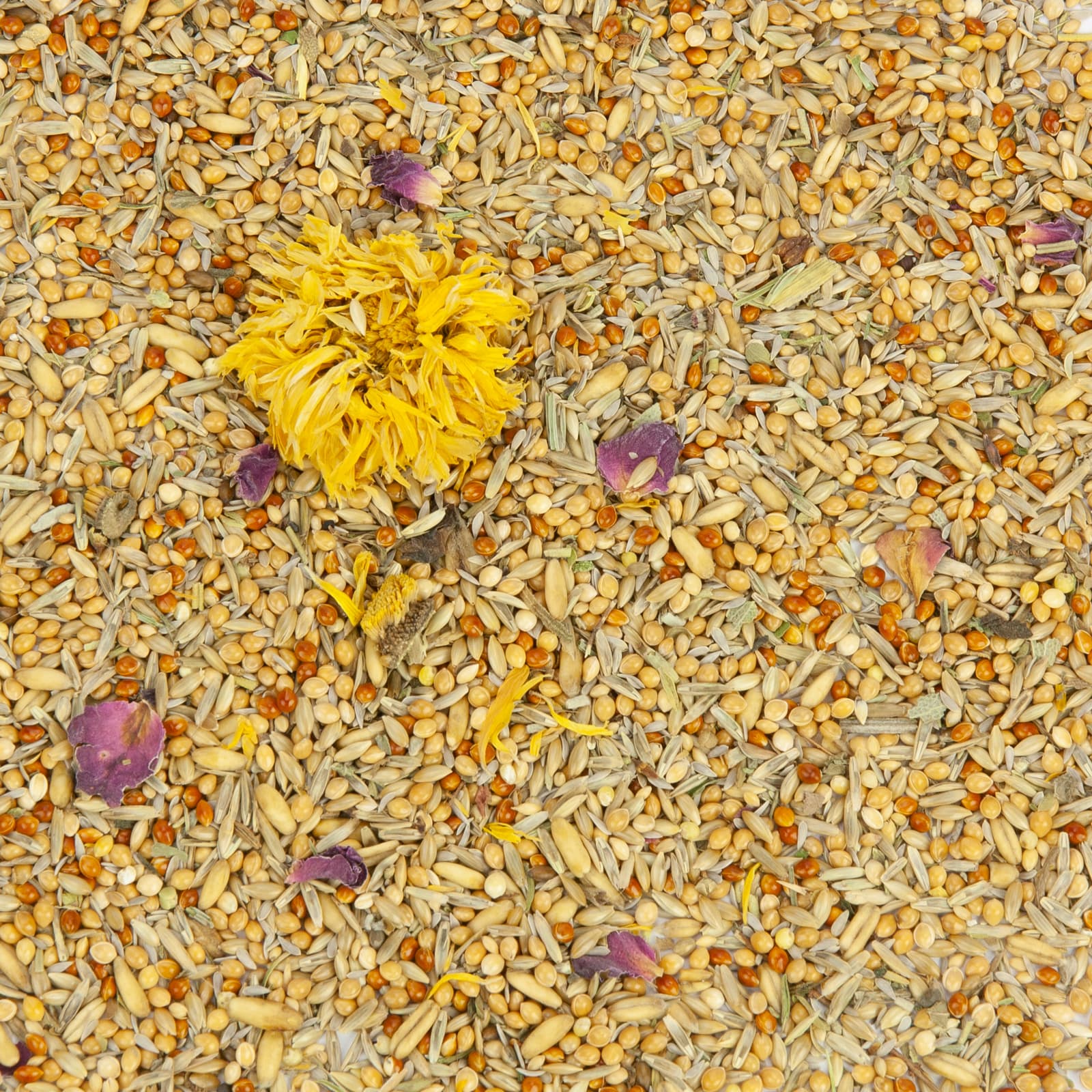 Wellensittichfutter Welli-Topfit