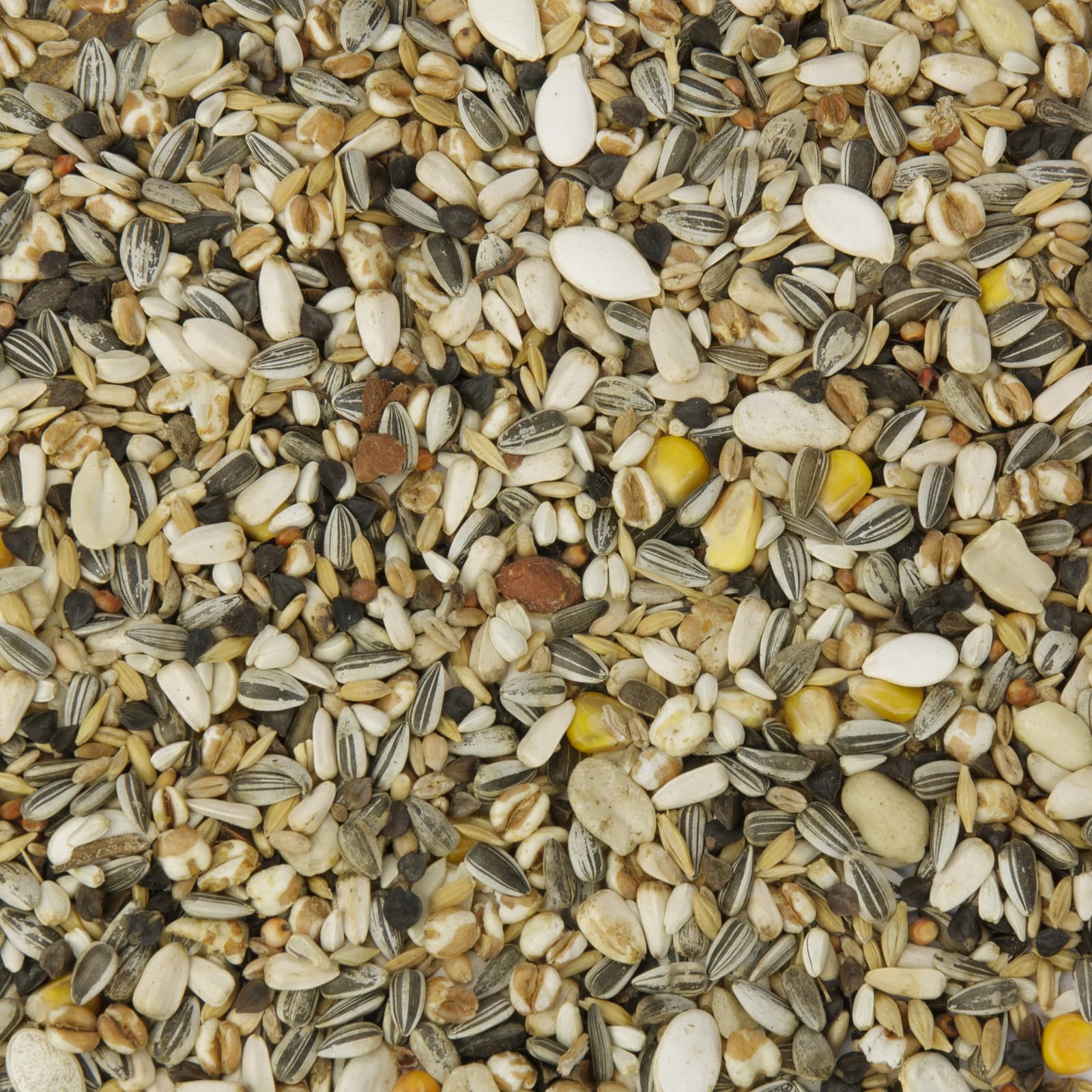 Papageienfutter Papagei-Basic