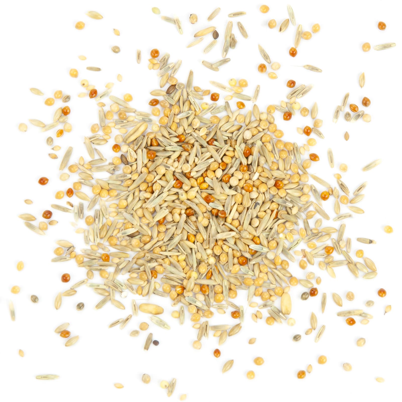 Wellensittichfutter Welli-Fit Koernermischung