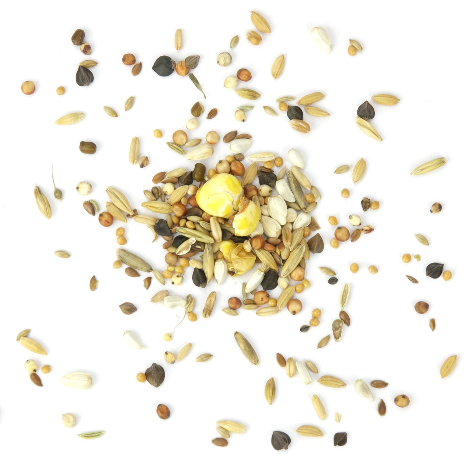 Papageienfutter Papagei-light