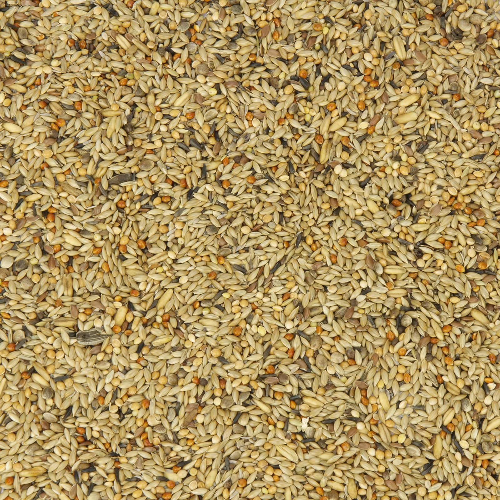 Kanarienfutter Kanarien-Fit Uebersicht