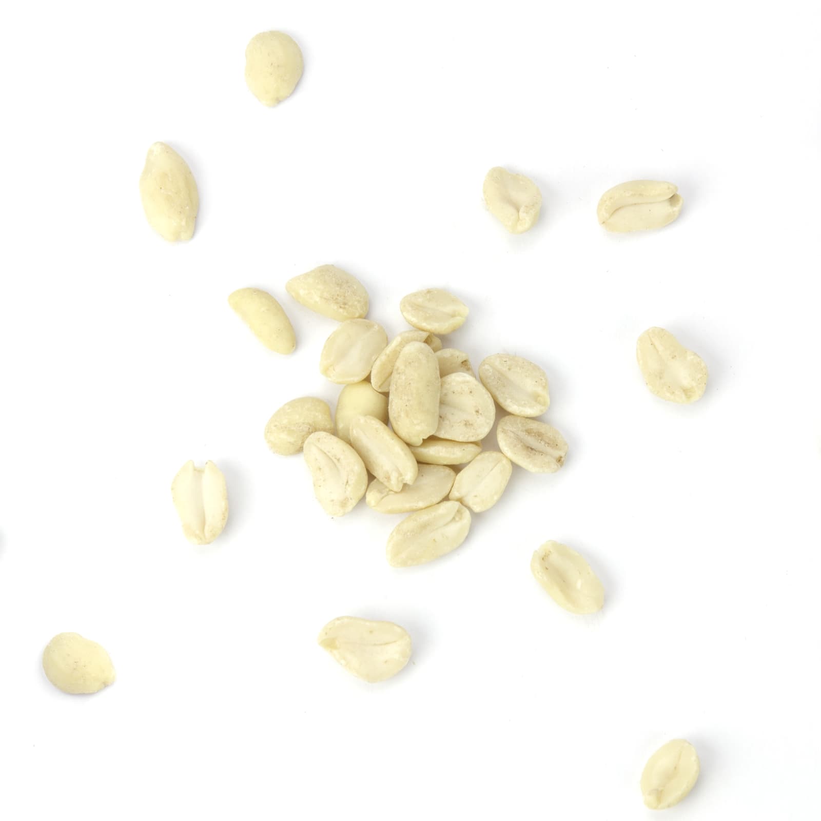 Wildvogelfutter Erdnuesse blanchiert halbiert