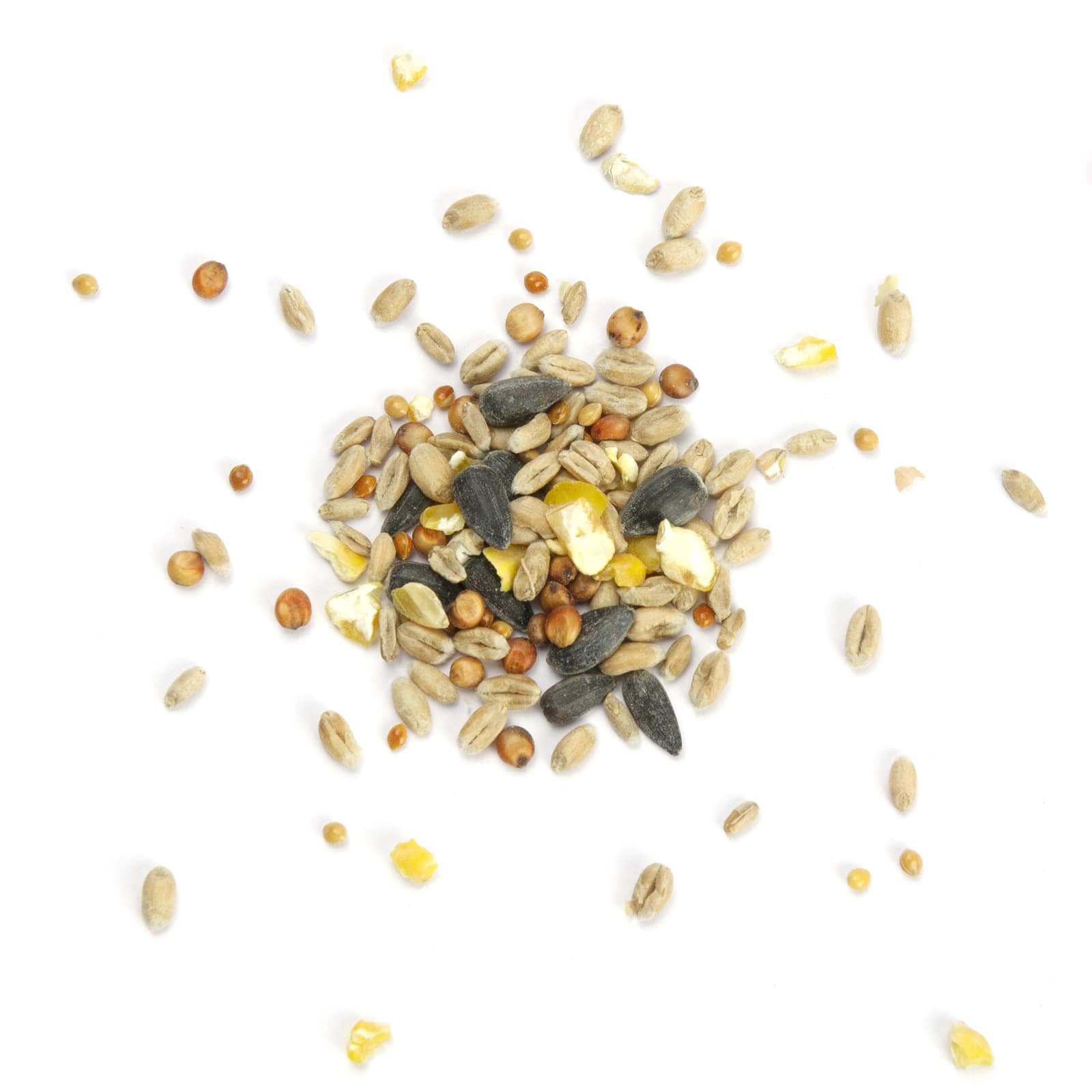 Wildvogelfutter Koerner Picknick Vogelfutter ganzjaehrig