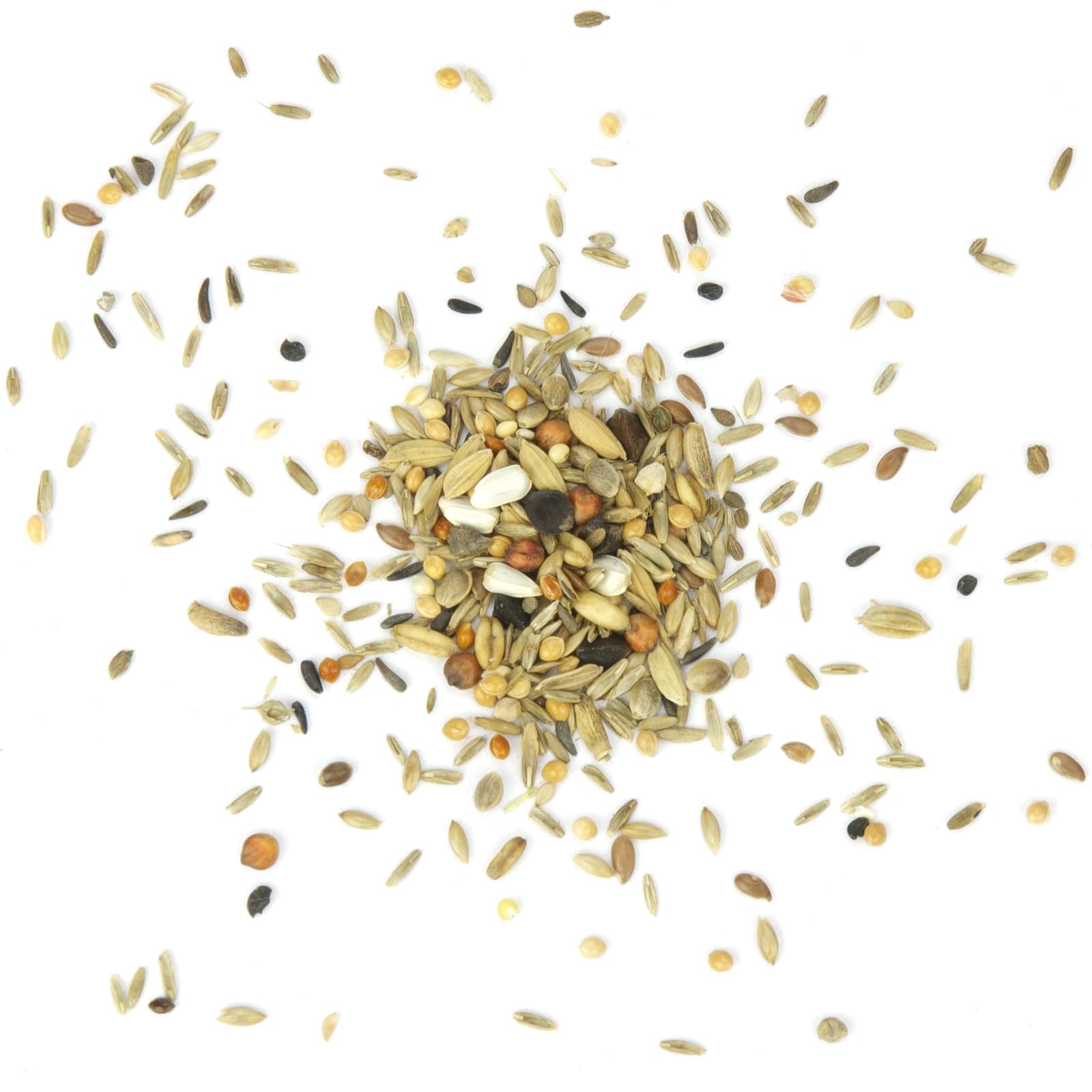 Grosssittichfutter Grosssittich fein-Fit