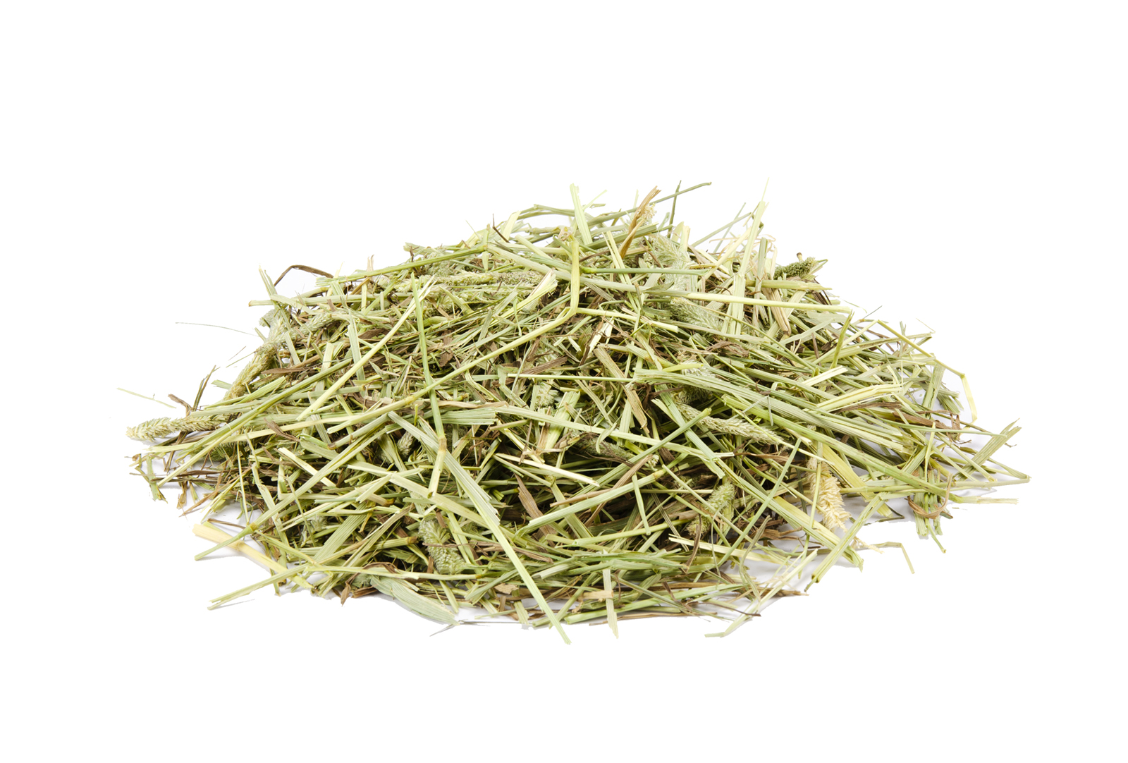 Warum so viele Timothy-Heu für ihre Nager kaufen