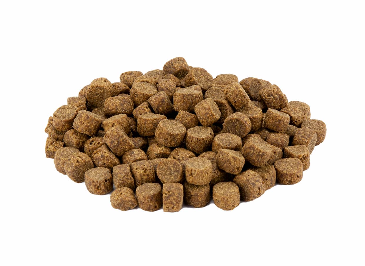 Trockenfutter für Hunde mit Geflügel Produktbild