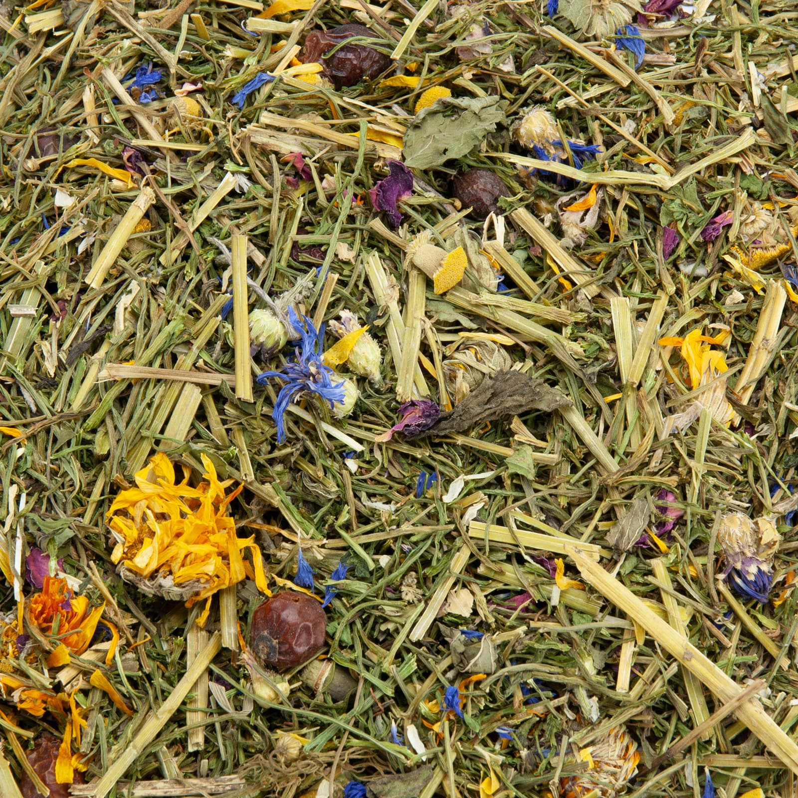 MCN159-Wildwiese-Zusammensetzung-neu-k