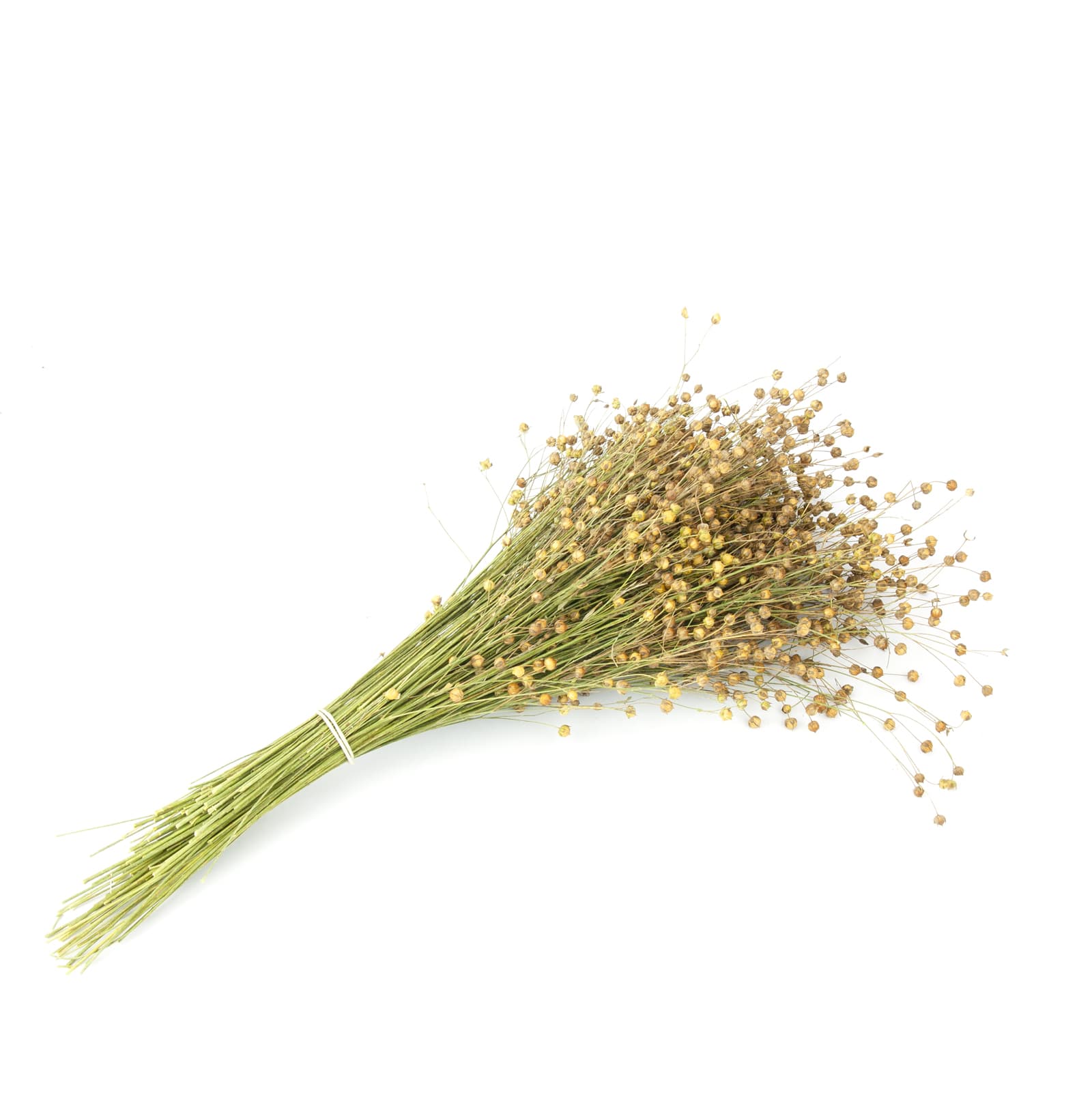 Snacks fuer Nager und Kleintiere Flachs-Strauss