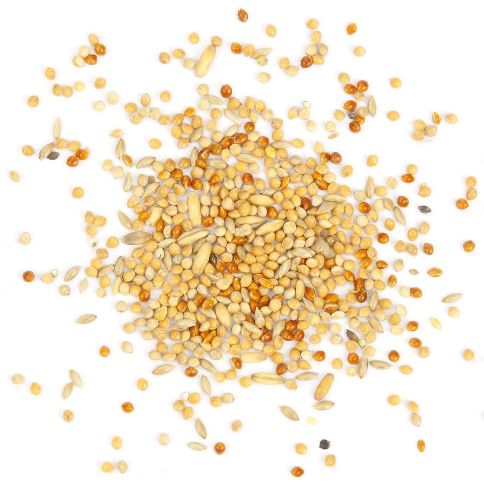 Wellensittichfutter Welli-Basic Grundmischung