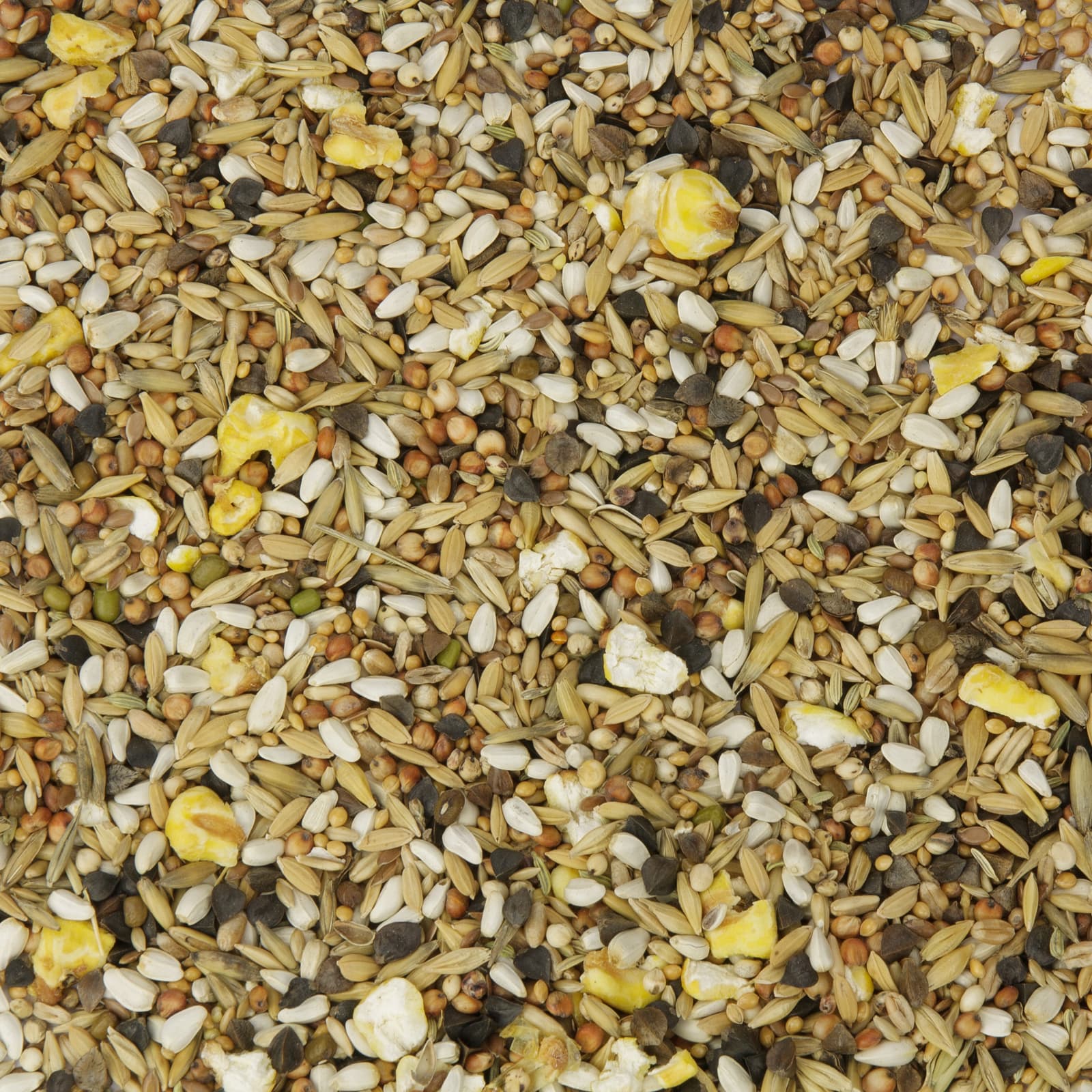 Papageienfutter Papagei-light Uebersicht