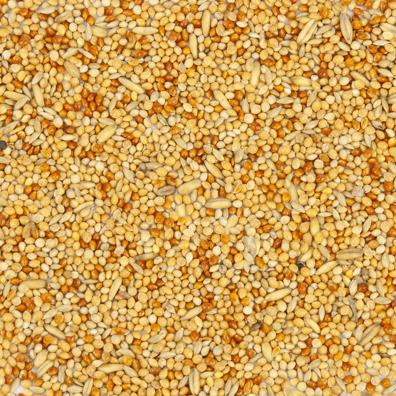 Wellensittichfutter Welli-Basic Grundmischung Uebersicht