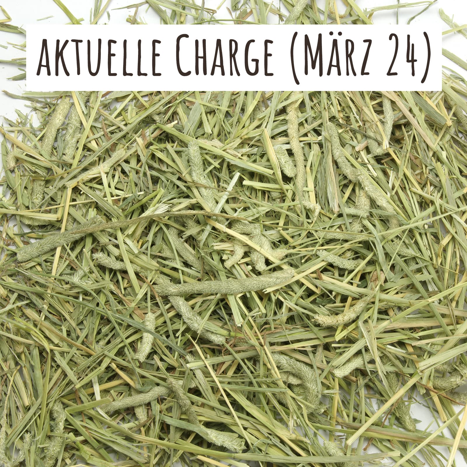 Timothy-Heu Chargenbild