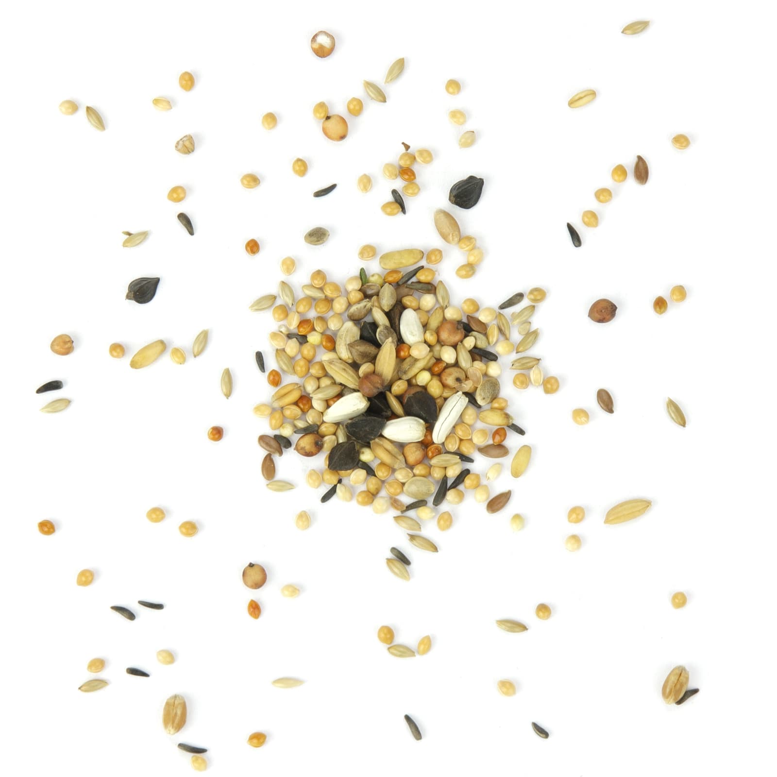 Grosssittichfutter Grosssittich fein Basic