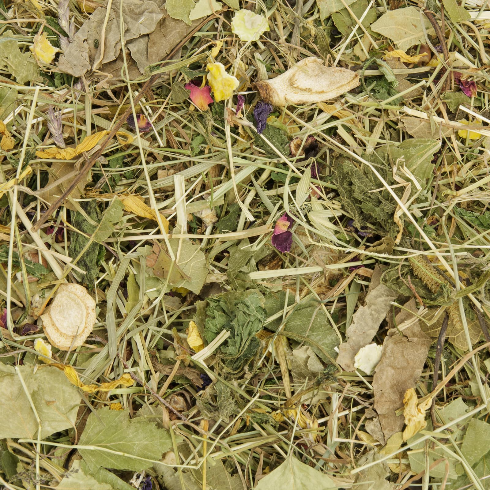 Kaninchenfutter Herbstrascheln Uebersicht