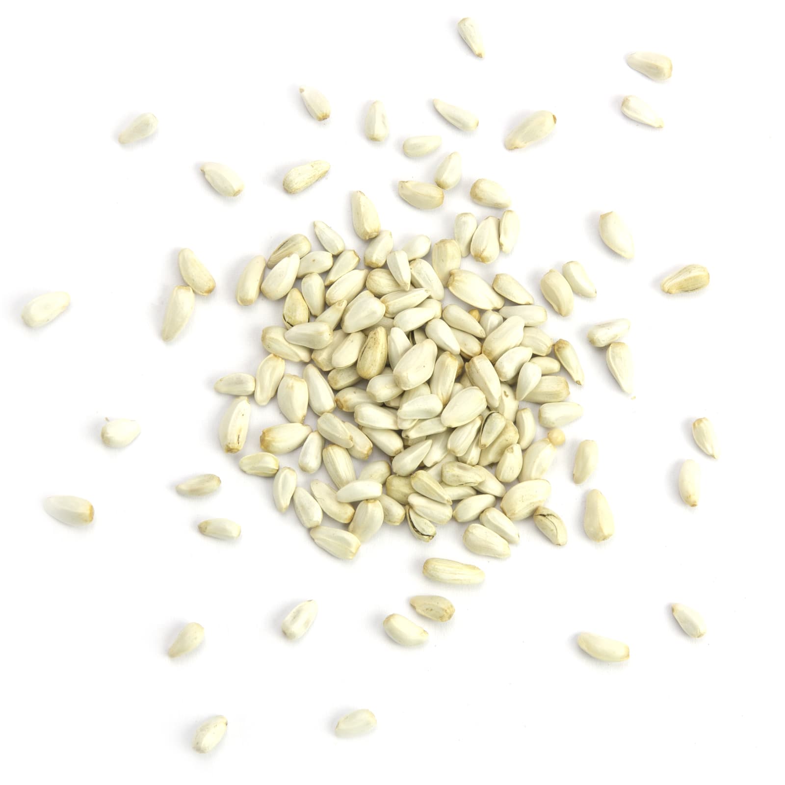 Vogelfutter Kardisaat fuer Voegel