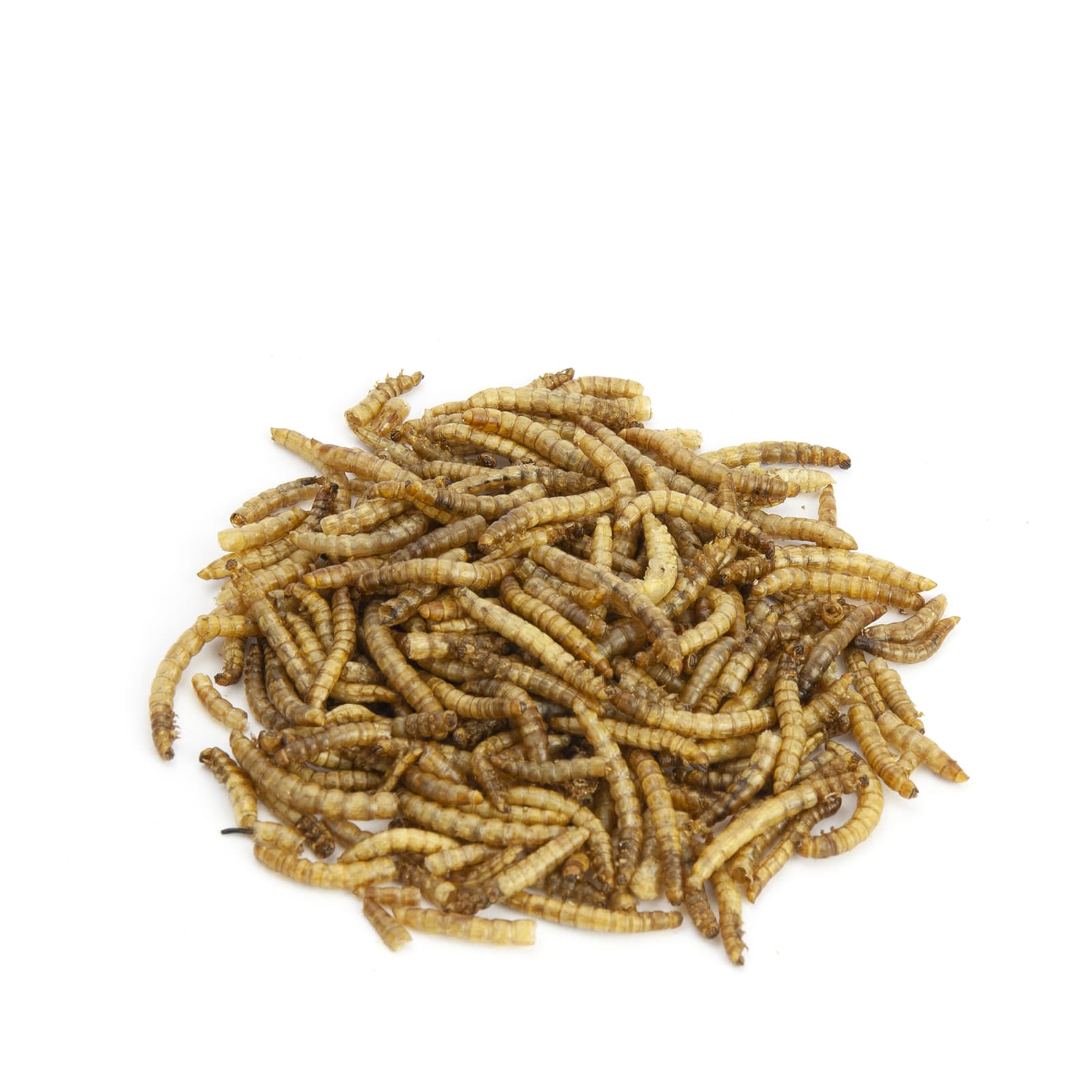 Mr-Crumble-MCN193-Mehlwuermer-getrocknet-k