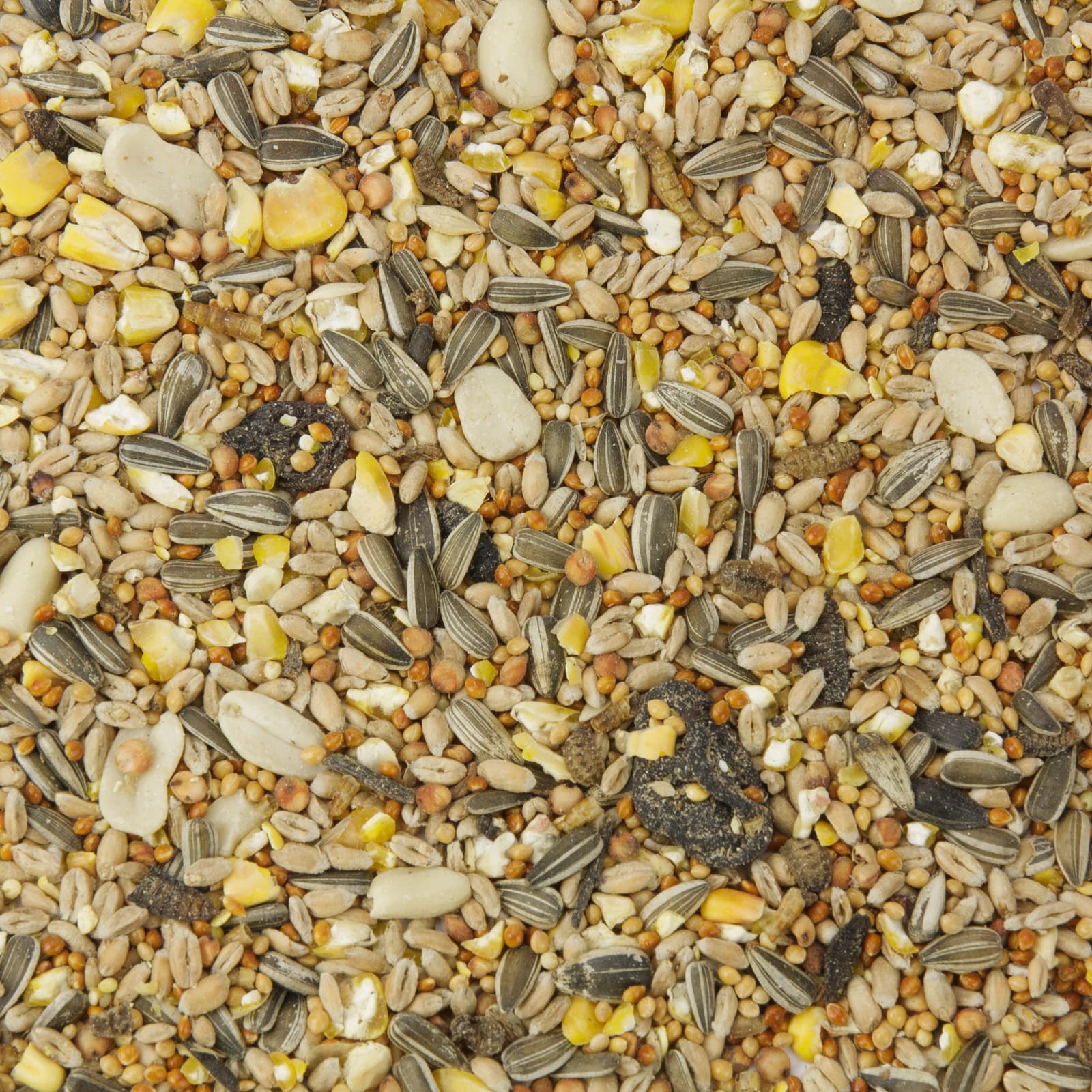 Wildvogelfutter Vogelfutter Kenner-Picknick