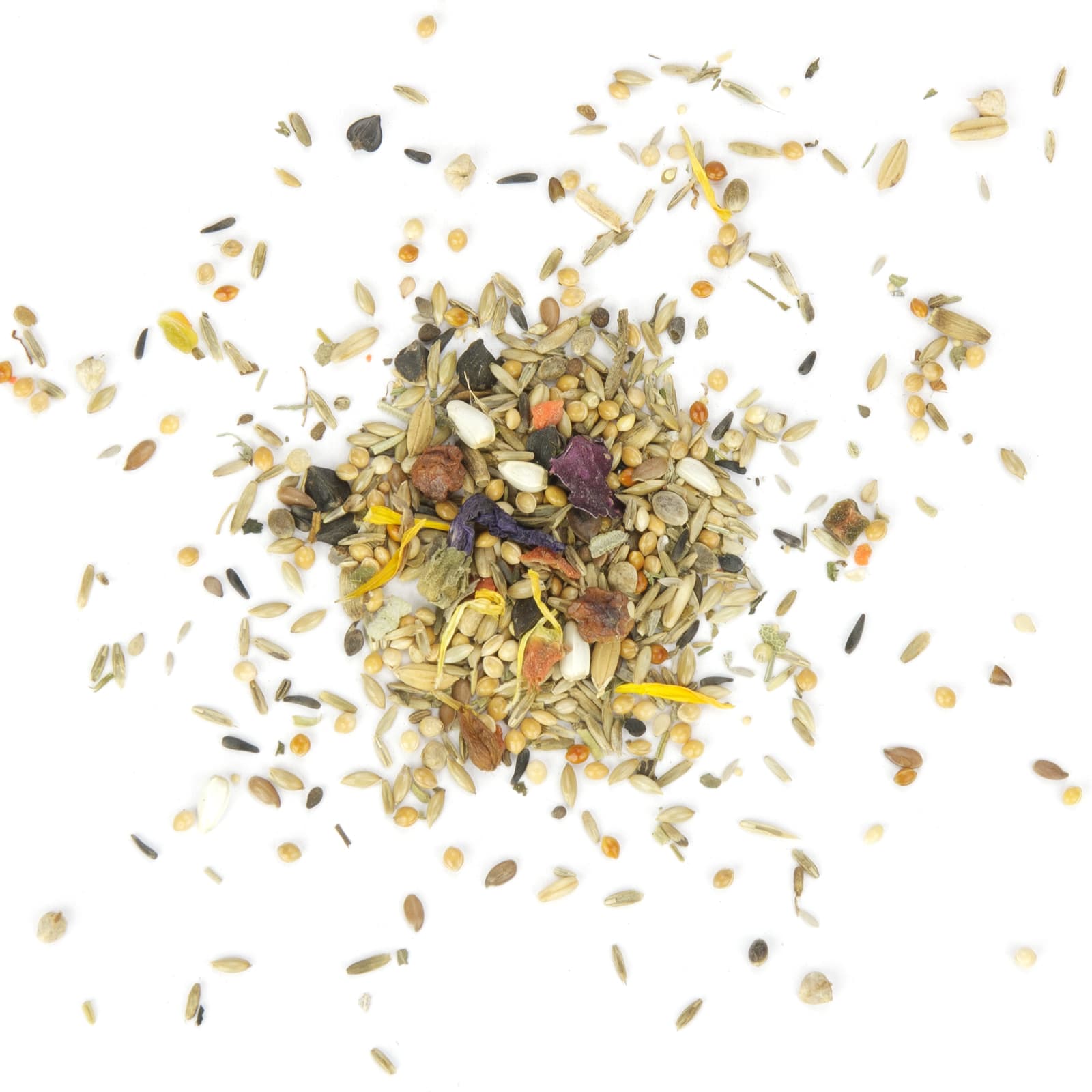 Grosssittichfutter Grosssittich-Topfit