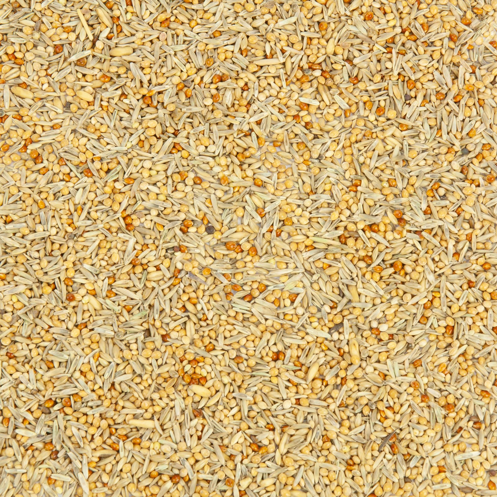 Wellensittichfutter Welli-Fit Koernermischung Uebersicht