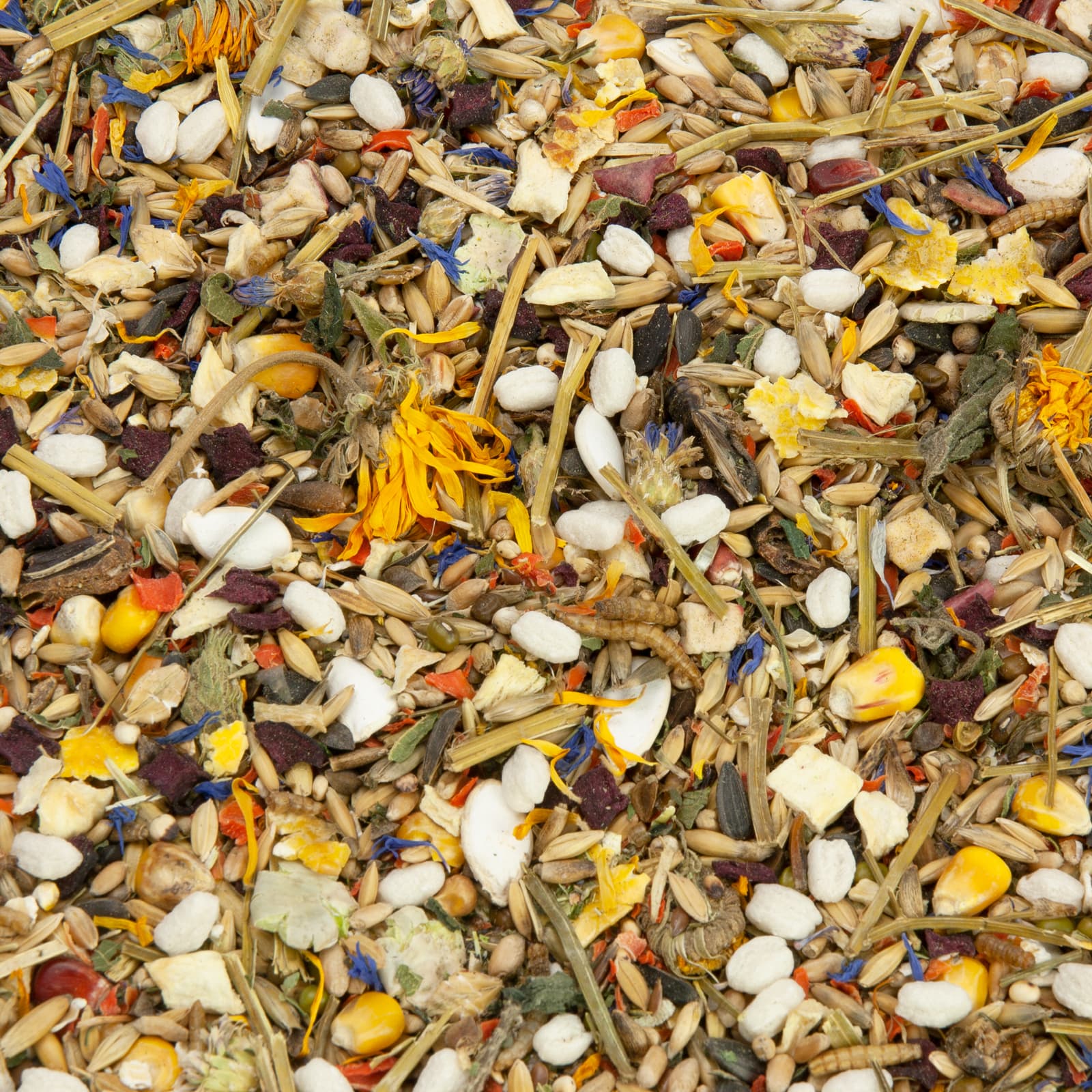 Rattenfutter Futter fuer Ratten