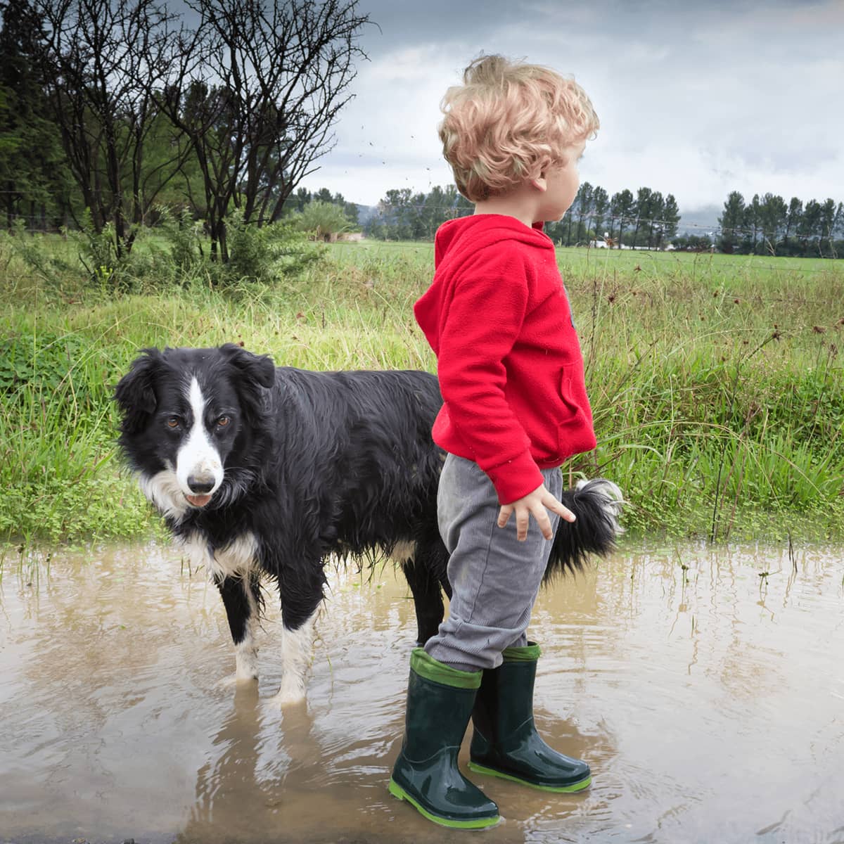 Gassi gehen im Winter: Ist es irgendwann zu kalt dafür?