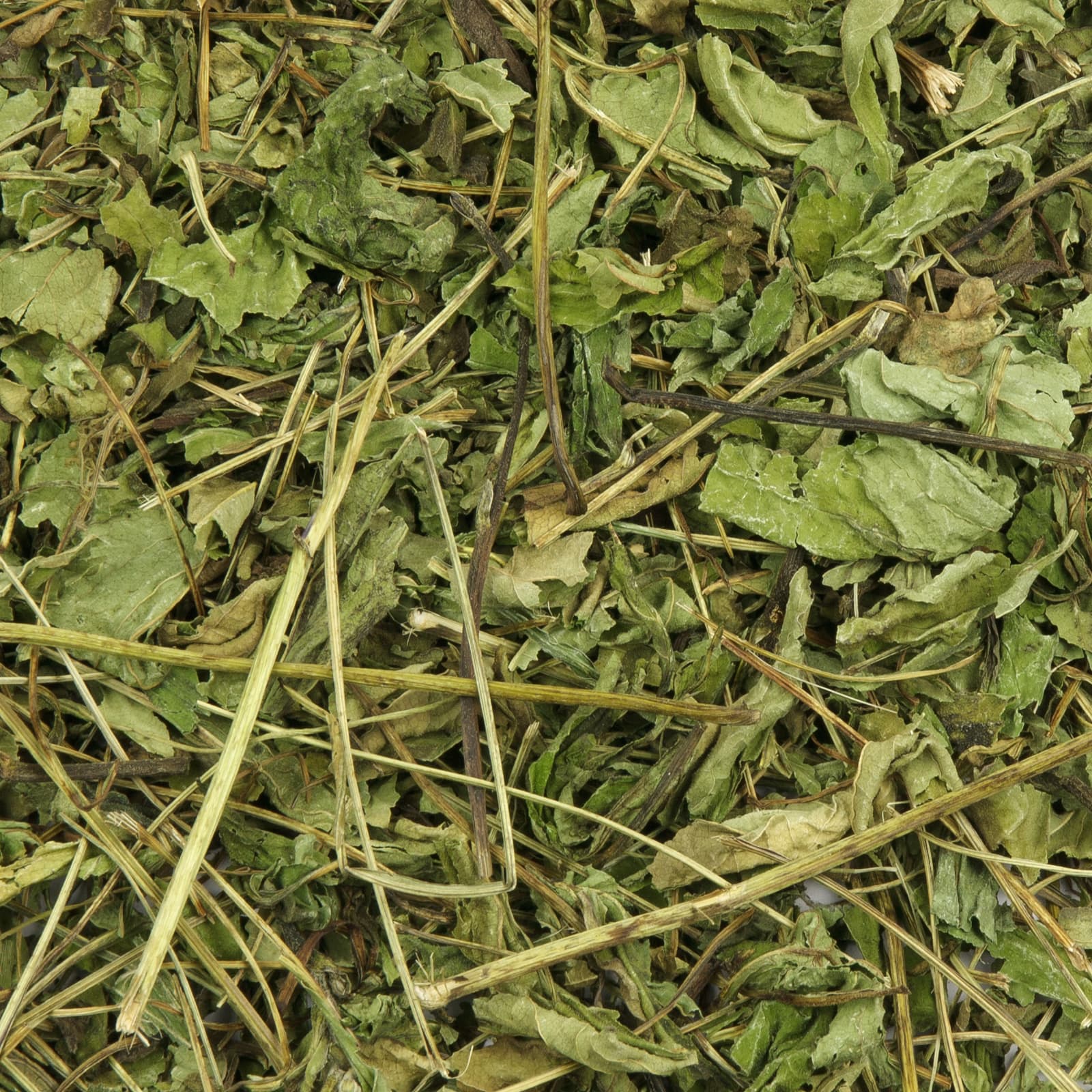 Kaninchenfutter Sonnenhut getrocknet fuer Nager Uebersicht