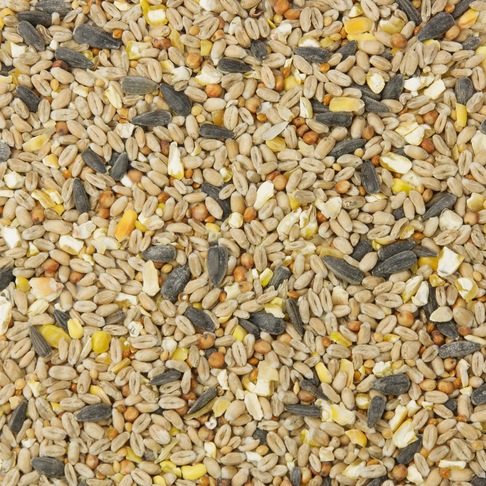 Wildvogelfutter Koerner Picknick Vogelfutter ganzjaehrig