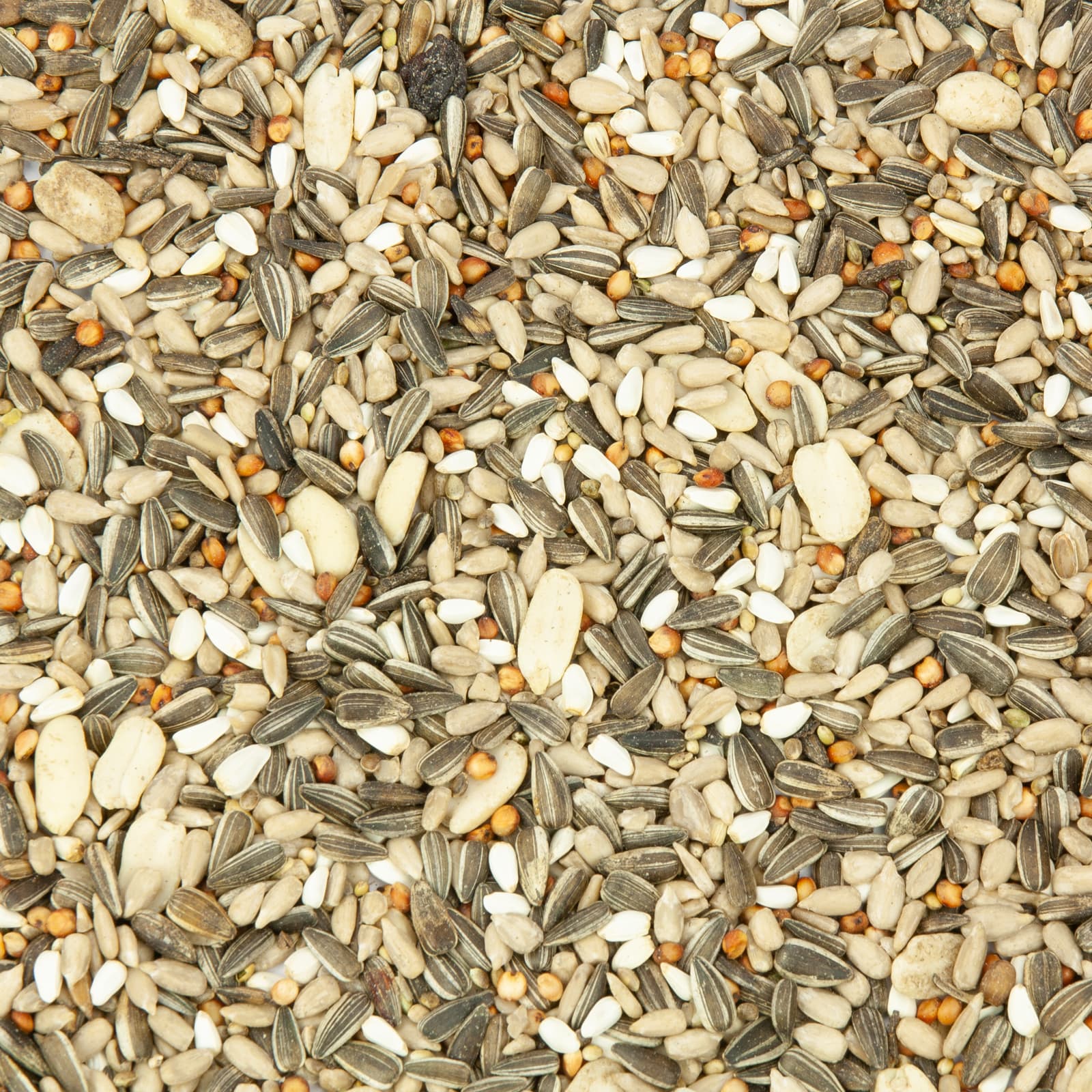 Wildvogelfutter Meisen-Picknick Meisenfutter