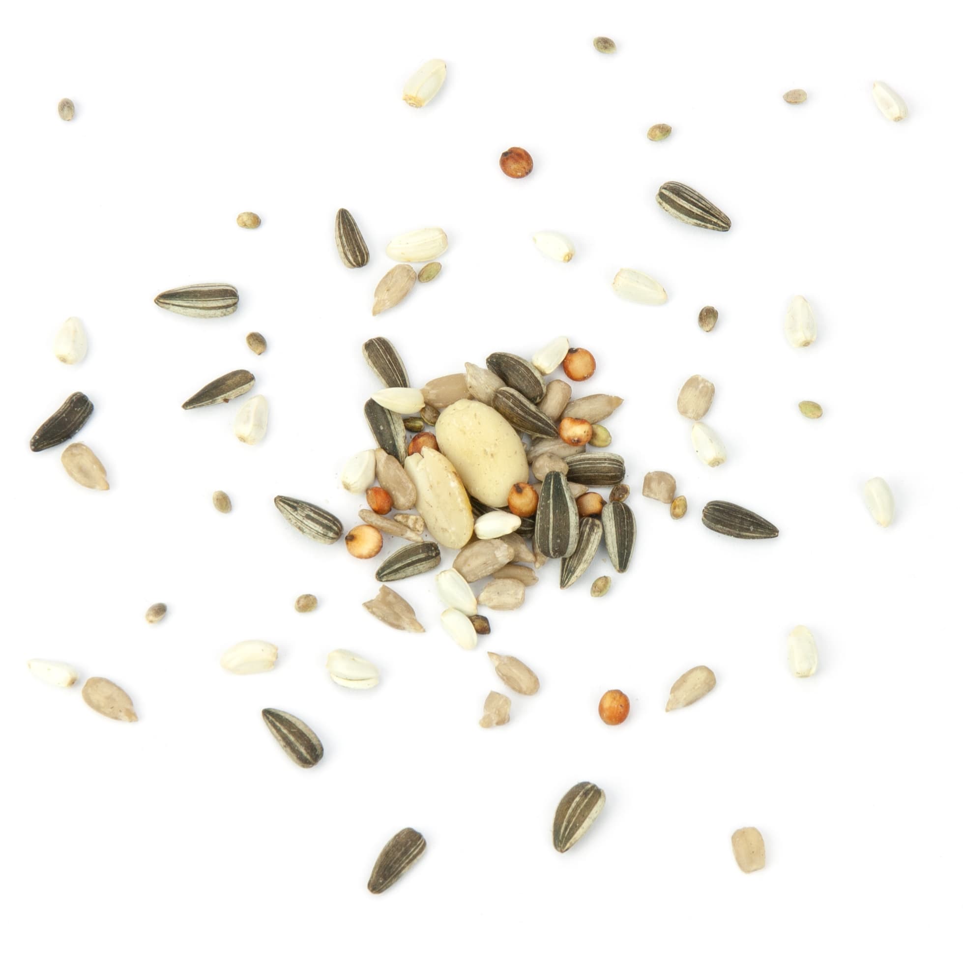 Wildvogelfutter Meisen-Picknick Meisenfutter