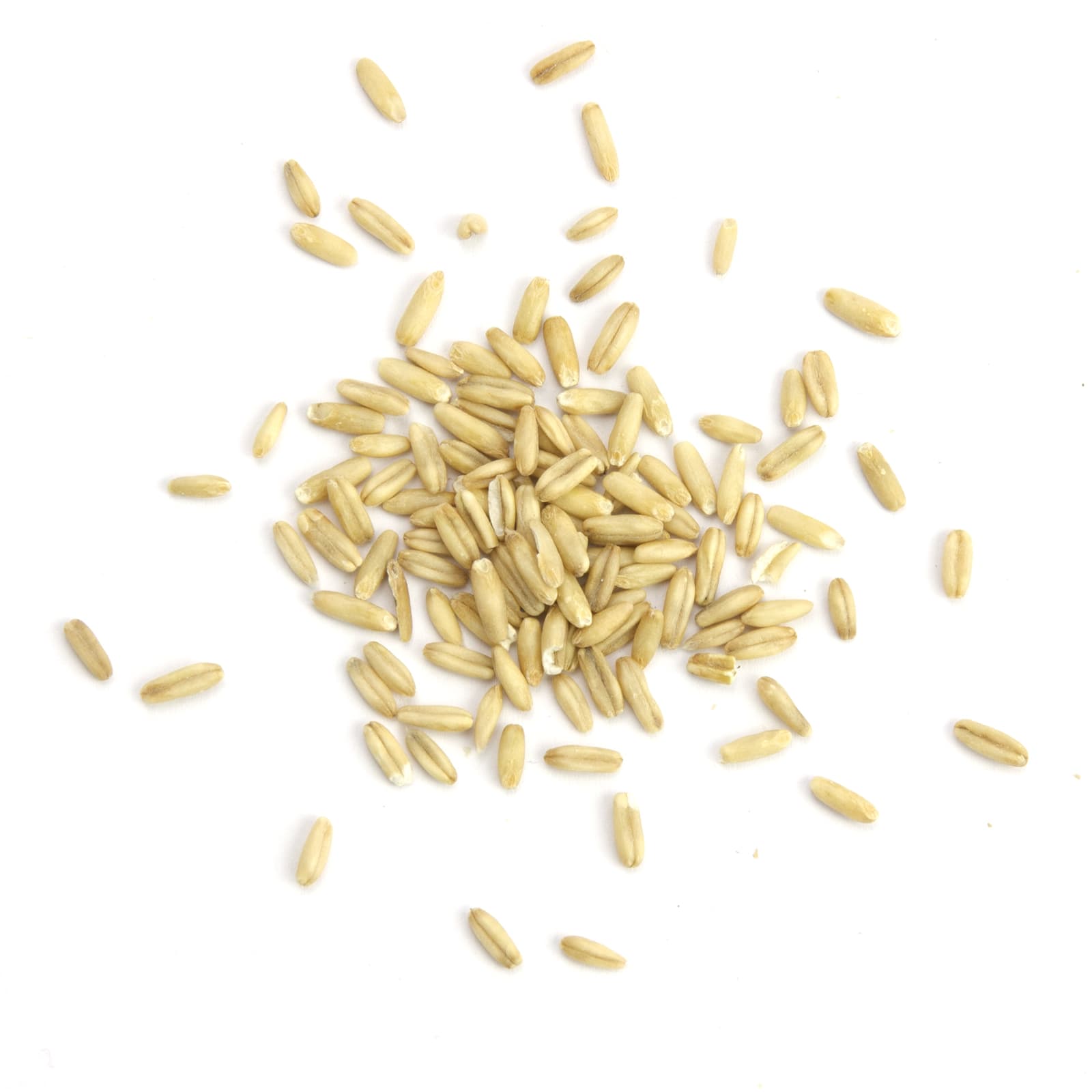 Vogelfutter Haferkerne