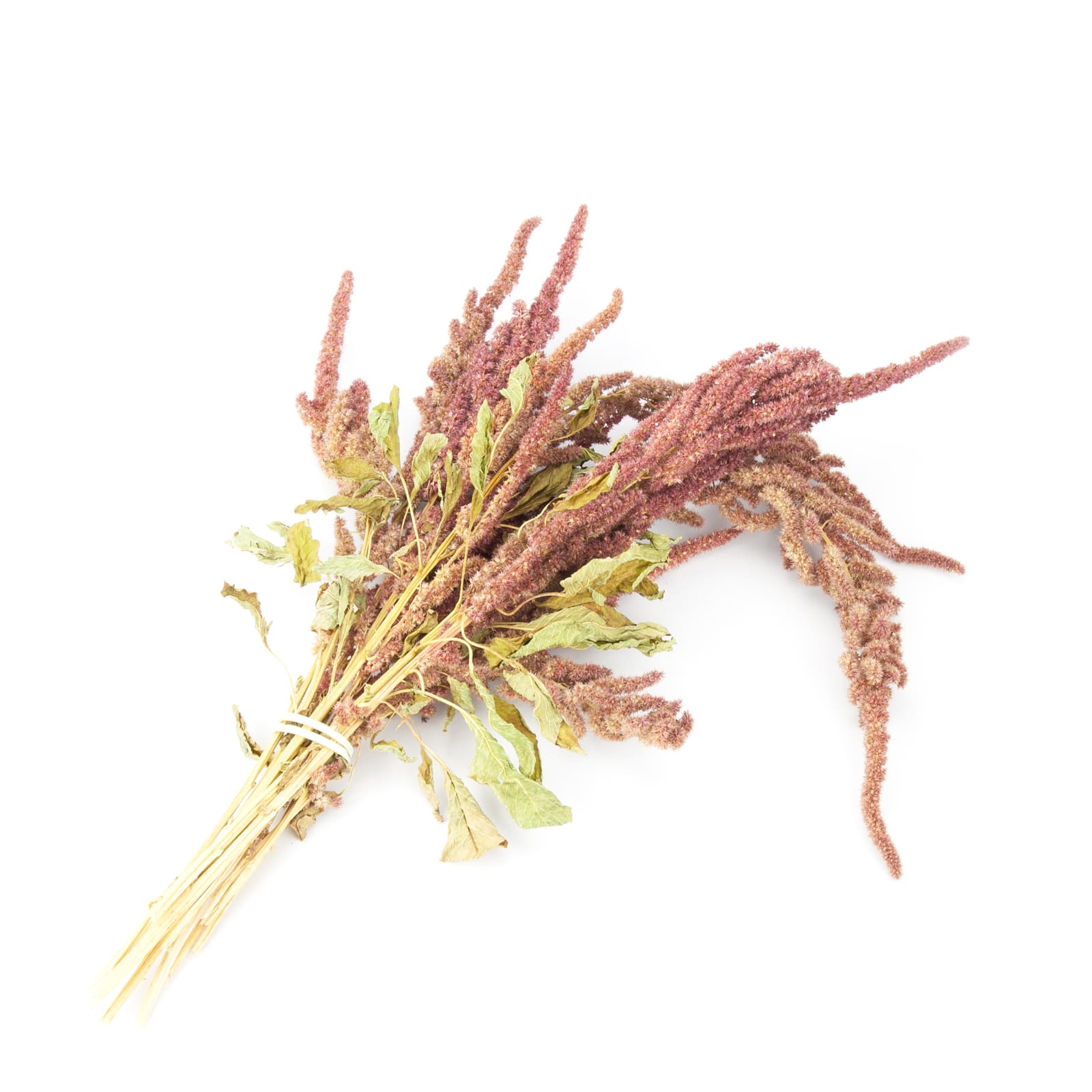 Snacks fuer Nager und Kleintiere Amaranth-Strauss